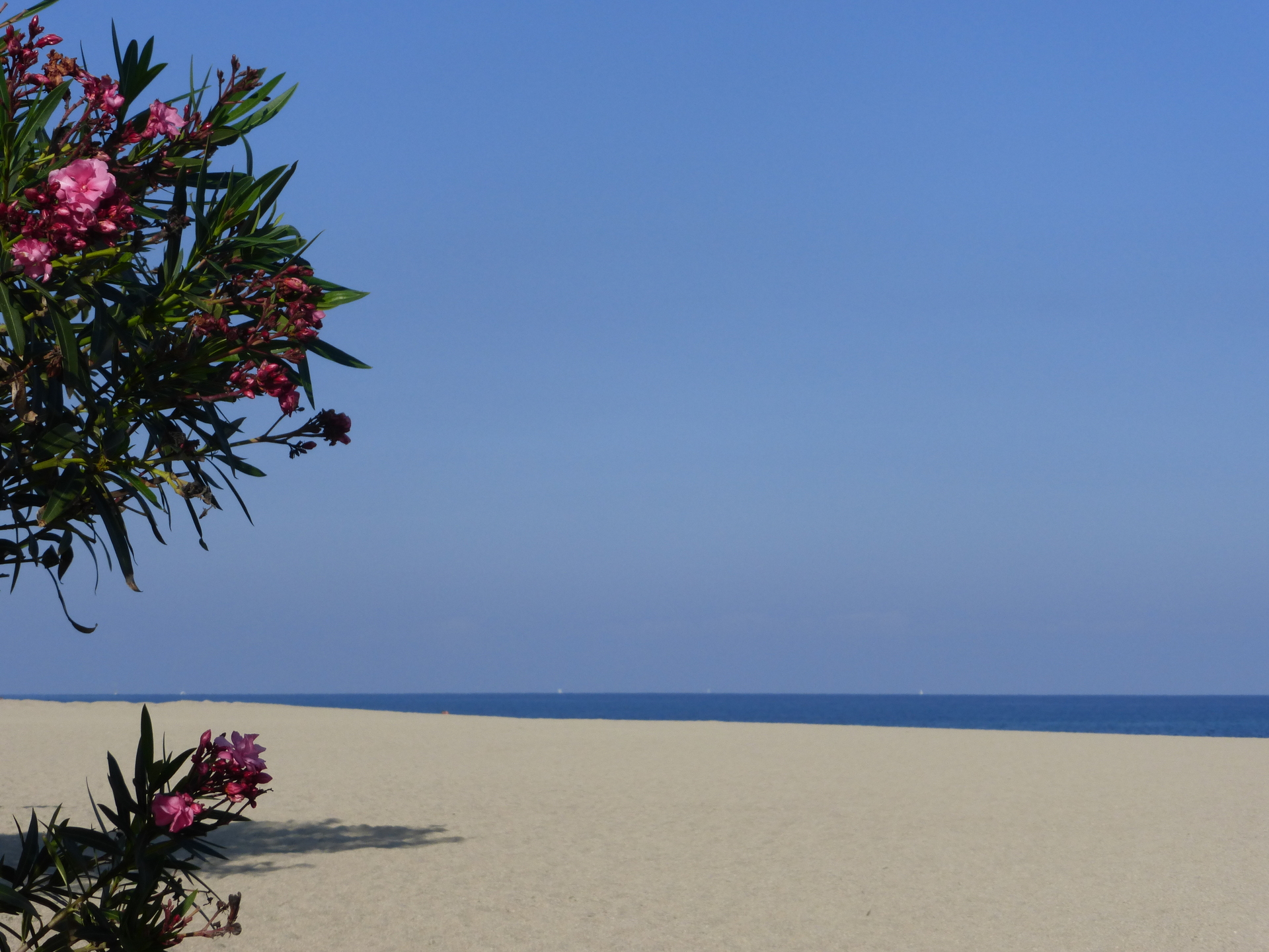 Plage déserte